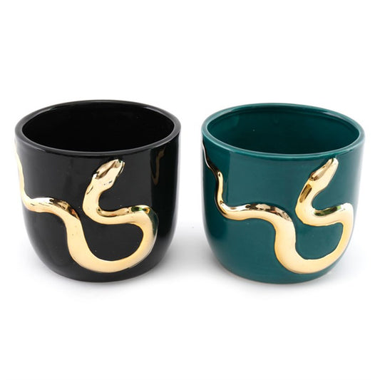 Snake Trinket Pot/Planter